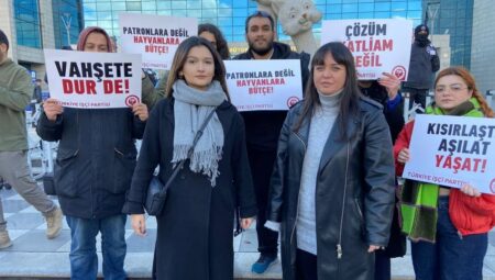 Ankara’da sokak köpeklerinin toplanmasına tepki! Belediyeyi protesto ettiler