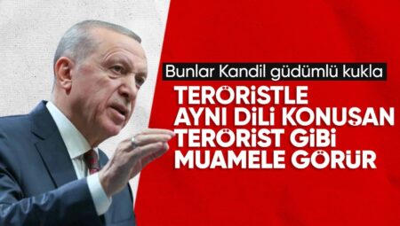 Cumhurbaşkanı Erdoğan: Kandil güdümlü kuklalardan insani bir duruş beklenemez