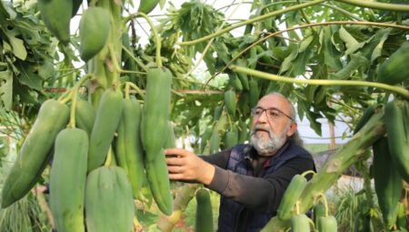 Hanımı Seviyor Diye Üretmeye Başladı: Şimdi Siparişlere Yetişemiyor! Getirisi Çok Yüksek