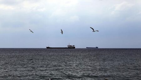 Hindistan, Aden Körfezi açıklarına 2 destroyer konuşlandırdı