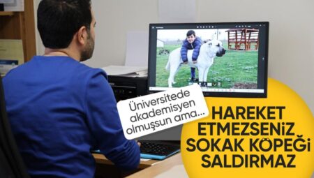 Köpek saldırılarından korunmak için yine aynı yöntem önerildi: Hareketsiz kalın