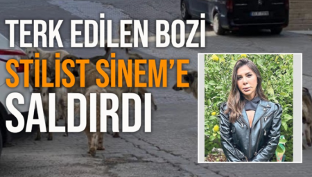 Stilist Sinem Küçükşahin, restoranda oturduğu masadan kalkacağı sırada sokak köpeğinin saldırısına uğradı