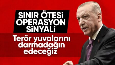 Cumhurbaşkanı Erdoğan: Operasyonlar genişleyerek sürecek