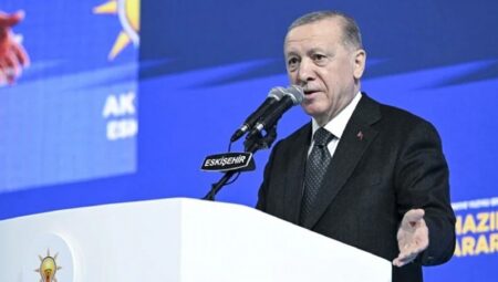 Erdoğan: Işık hızıyla tek parti faşizmine büründü