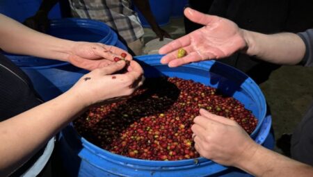 Türk iş insanları Etiyopya’da fermente kahve üretiyor