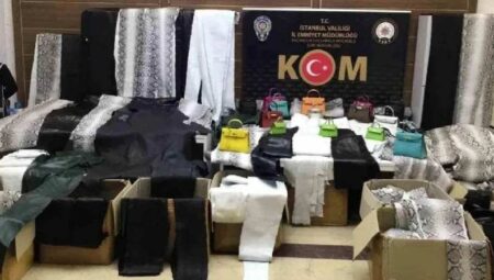 Devekuşu ve Piton Yılanı Derileriyle Dolu Kaçakçıların Çetesi Çökertildi