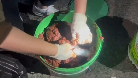 Salça kovalarında bulunan 14 tabanca ile şaşırtıcı keşif!