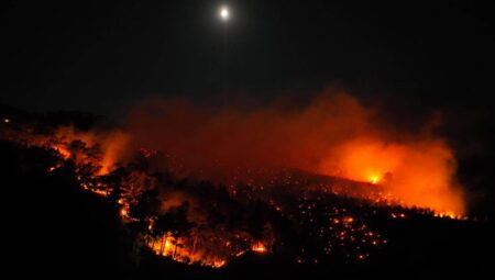Ayvacık’ta Alevler Ormanları Yuttu!