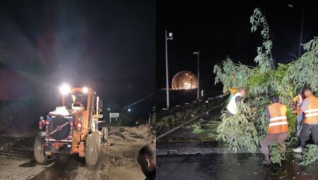 Sel felaketi: Su baskını ev ve iş yerlerini sular altında bıraktı, ağaçlar devrildi, yollar kapanırken vatandaşlar mahsur kaldı