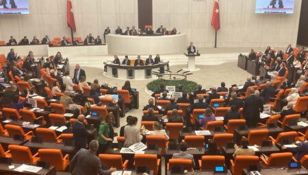 Sokak köpeklerine ‘insancıl’ son TBMM’den geçti!