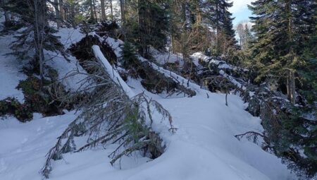 Aşırı Sıcaklar ve Hortumlar Batı Karadeniz’i Vurdu – Son Dakika Gelişmeler
