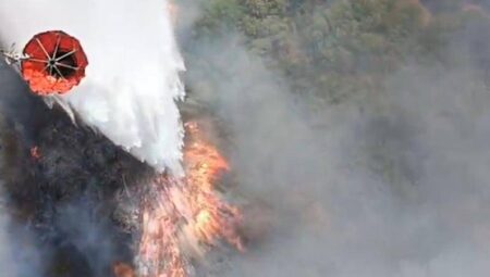 OGM, orman yangınları için acil durumlarda helikopter ve uçak temin etmedi.