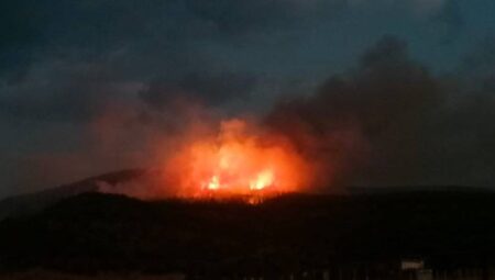 20 Hektarlık Doğa Katliamına Uğradı!