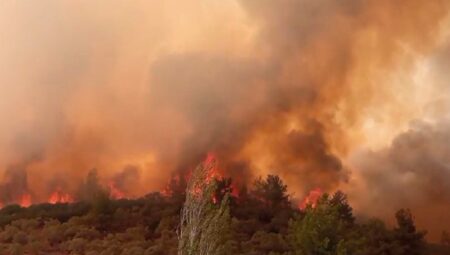 Yeşil Vatanı Tehdit Edenlerin Gerçek Yüzü: İblisin Veletleri!