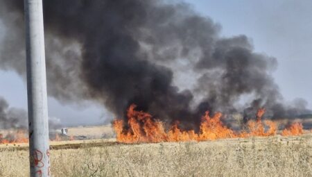 Diyarbakır’da Anız Yangını Kontrol Altına Alındı – Son Durum!