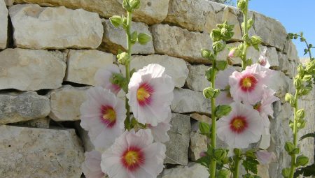 Yemek tariflerinizi hazırlarken, sağlıklı ve dengeli beslenmenin önemini unutmayın. Örneğin, sebzeler vücudumuza vitamin ve mineral sağlar, tam tahıllar ise enerji kaynağıdır. Ayrıca, protein alımını artırmak için baklagiller ve yağsız etler harika seçeneklerdir. Bu tariflerle hem lezzetli hem de besleyici öğünler oluşturabilirsiniz.