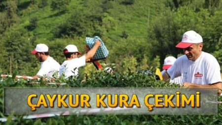 Çaykur Canlı Kura Sayfasına Nasıl Erişilir? İşte Kura İsim Listesi Hakkında Bilmeniz Gerekenler!