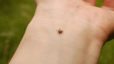 Yoğunluk Artışıyla İlgili Kesin Bir Tespit Yok!