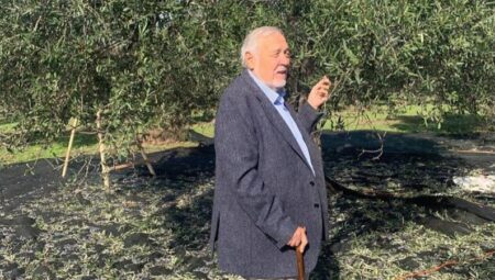 Türkiye: Zeytinliklerin Vatanı Olmalı, Beton Otellerin Değil!