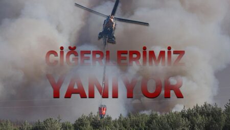 İzmir’de Yangın Alarmları: Ödemiş, Buca ve Çeşme Yangınlarla Mücadele Ediyor!