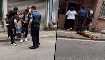 Kavga İhbarında Şok: Polis Kendini Isırttı, Diğerine Köpeği Saldırttı!