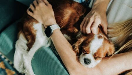 Kadın, Köpeğini Aile Üyesi Olarak Tanıtmak İçin Mahkemeye Başvurdu!