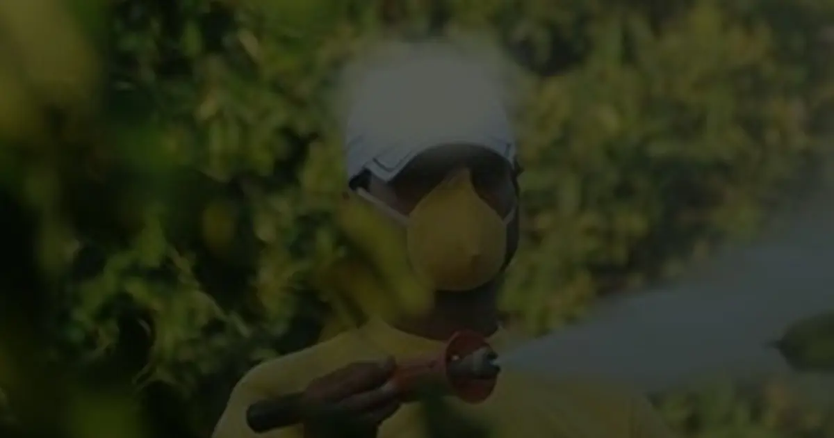 Böcek İlaçlarında Şok Yasak: Reçetesiz ve İnternet Satışı Artık Yok!