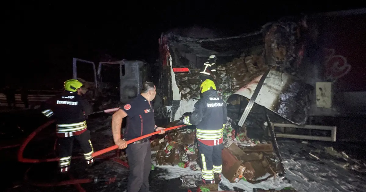 Tavuk Eti Yüklü TIR Alev Alev Yandı: Korkunç Kaza!