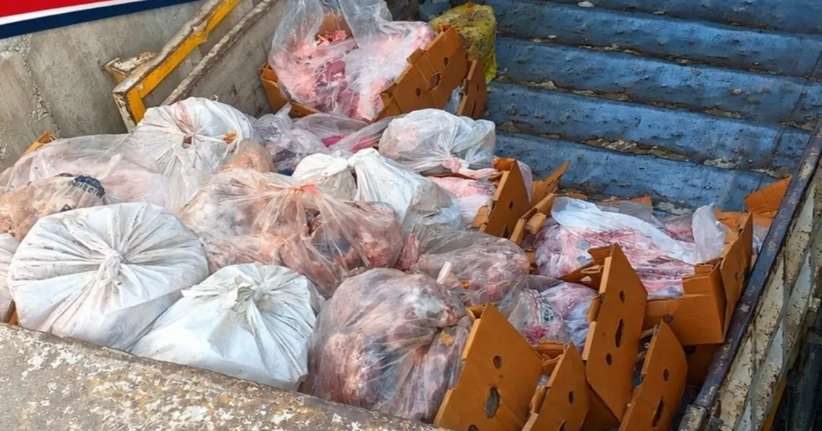 Sakarya’da 5,5 Ton Kaçak Et Skandalı: Etiket Yok, Güvence Yok!