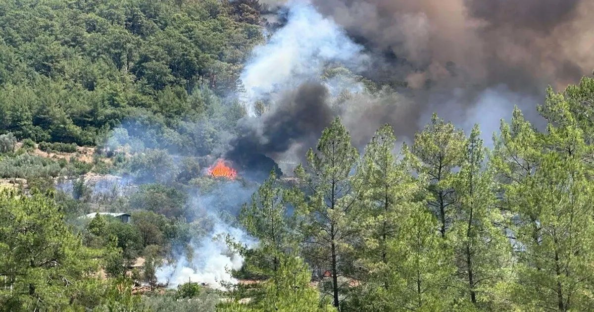 Muğla’da Korkutan Orman Yangını: Bir Mahalle Acil Olarak Tahliye Edildi!
