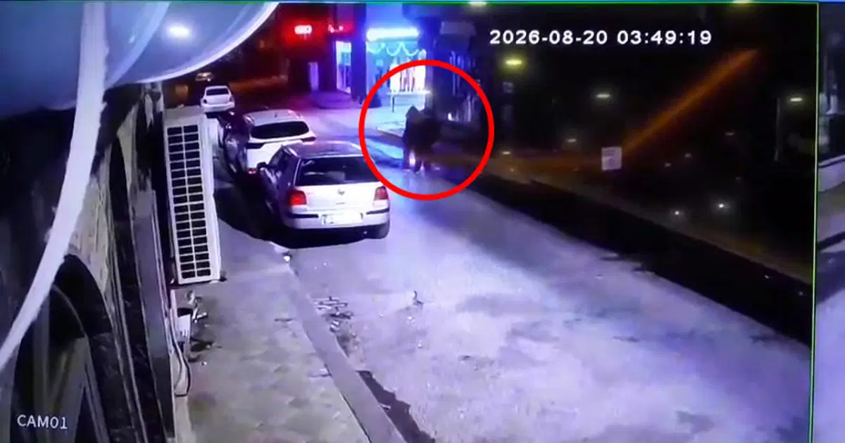Üç Kardeşin Darıca Sahilindeki Gizemli Ölümü: Tek Renk Giyinerek Kol Kola Yürüdüler