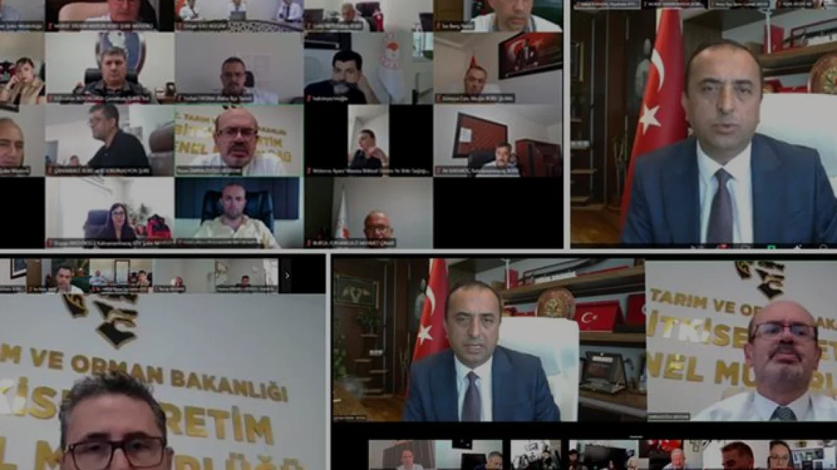 2026 Zeytin Rekolte Tespit Çalışmaları İçin Süreç Başladı