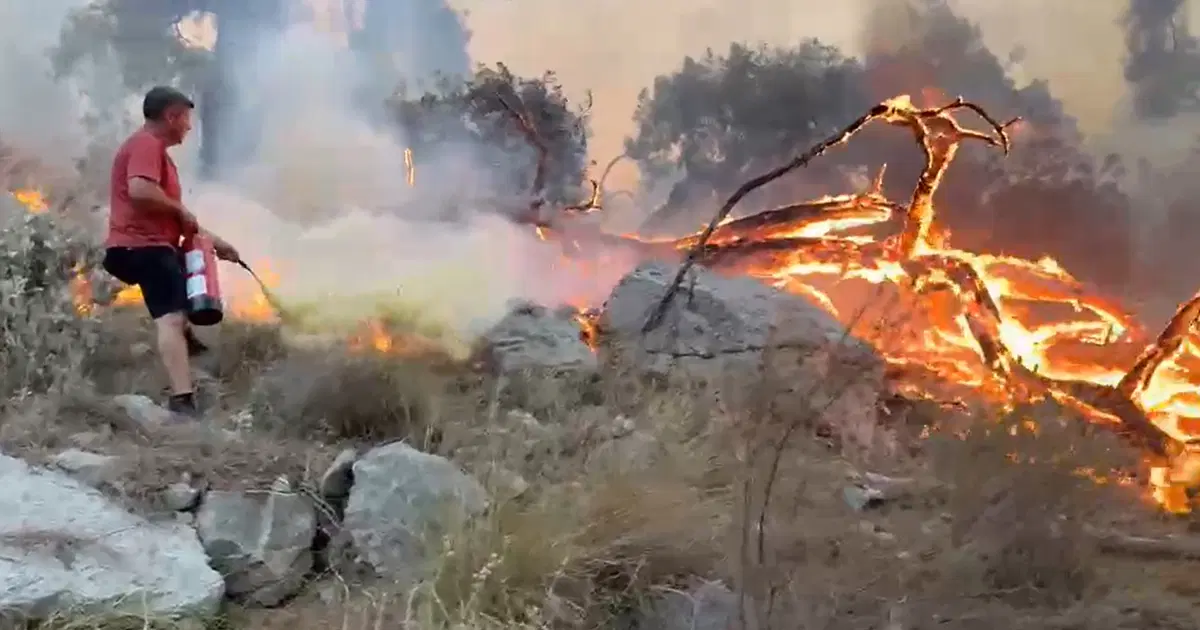 Antalya’daki Orman Yangınında Eşekle Yangın Tüpü Taşındı!