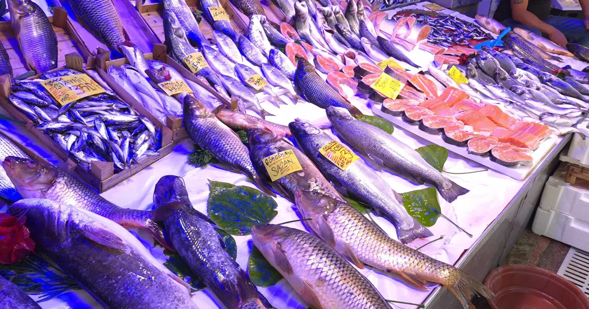 Bolluk ve Uygun Fiyatlar Yolda: Müjde Geldi!