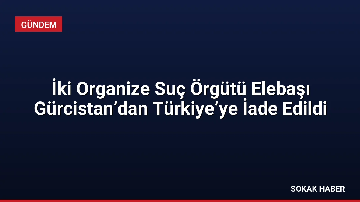 İki Organize Suç Örgütü Elebaşı Gürcistan’dan Türkiye’ye İade Edildi