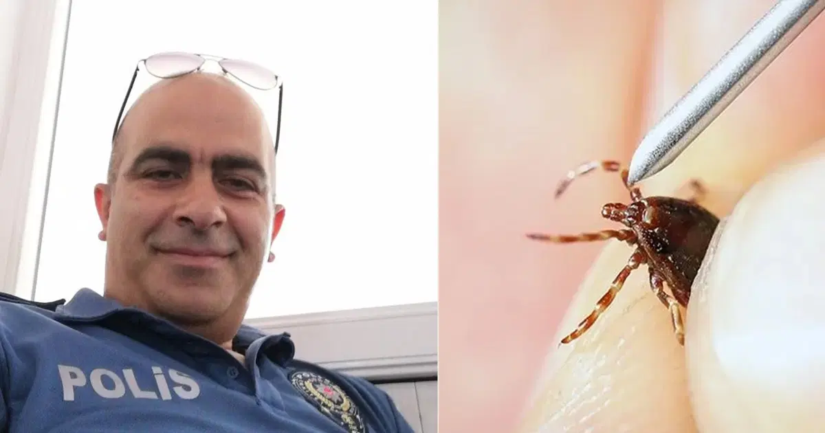 Bir Can Daha Gitti: Hayatın Kıyısında Kayıp!