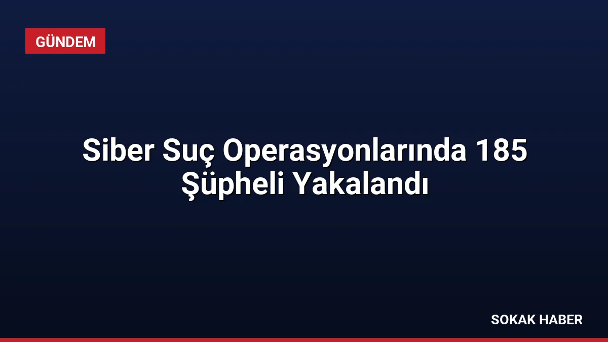 Siber Suç Operasyonlarında 185 Şüpheli Yakalandı