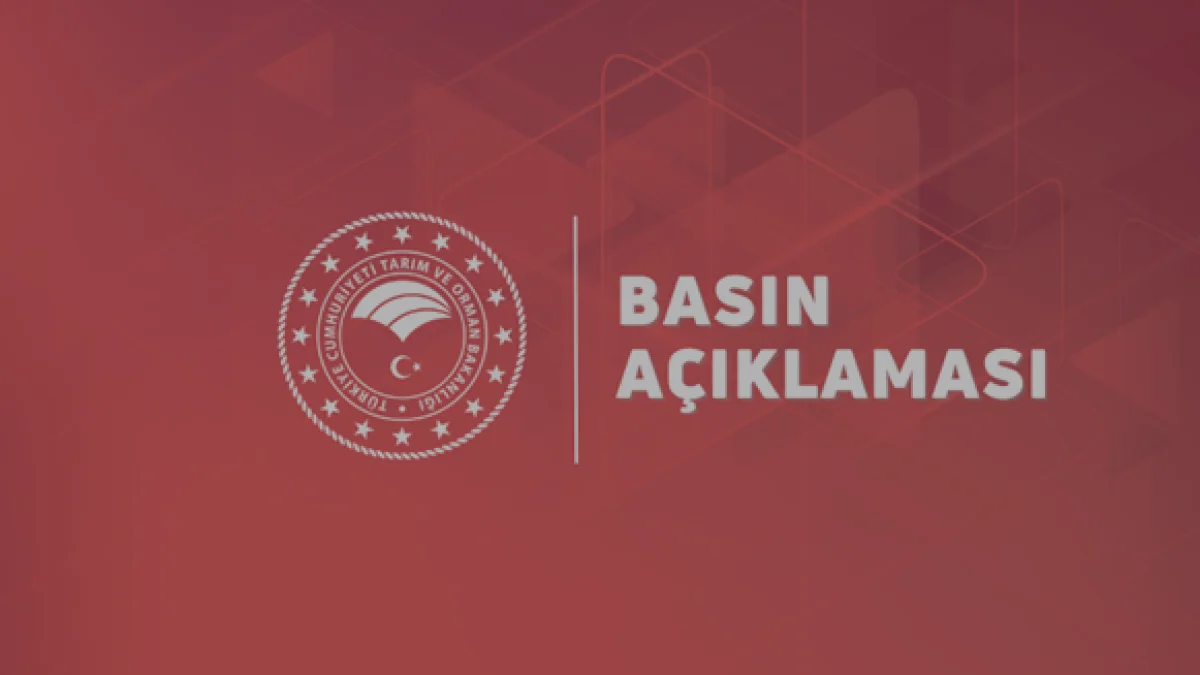 TMO 2026 27 Sezonu Kabuklu Fındık Alım Fiyatlarını Açıkladı