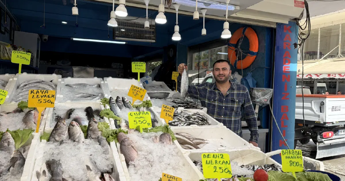 3 Kilo Sebze Artık 100 TL, Fiyatlar 10 Günlük Düşüşle Şaşırtıyor!