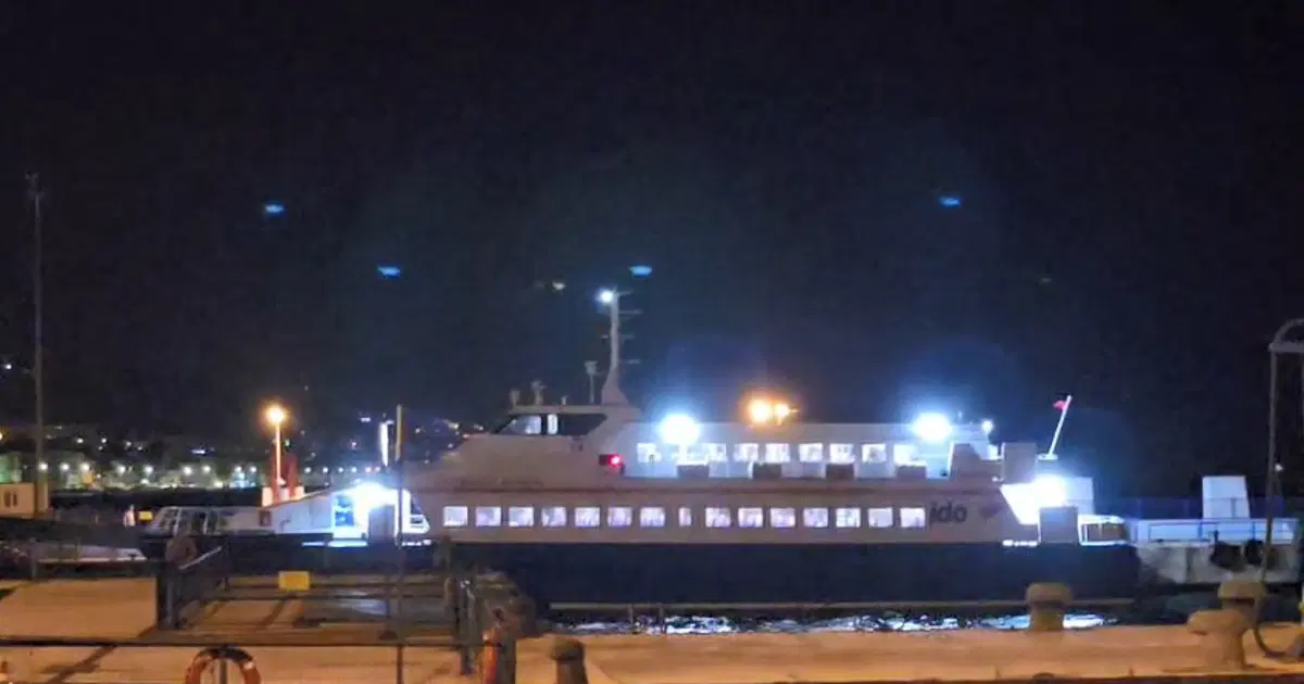 Marmara Denizi’nde Korku Dolu Anlar: Feribot İskeleye Çarptı!