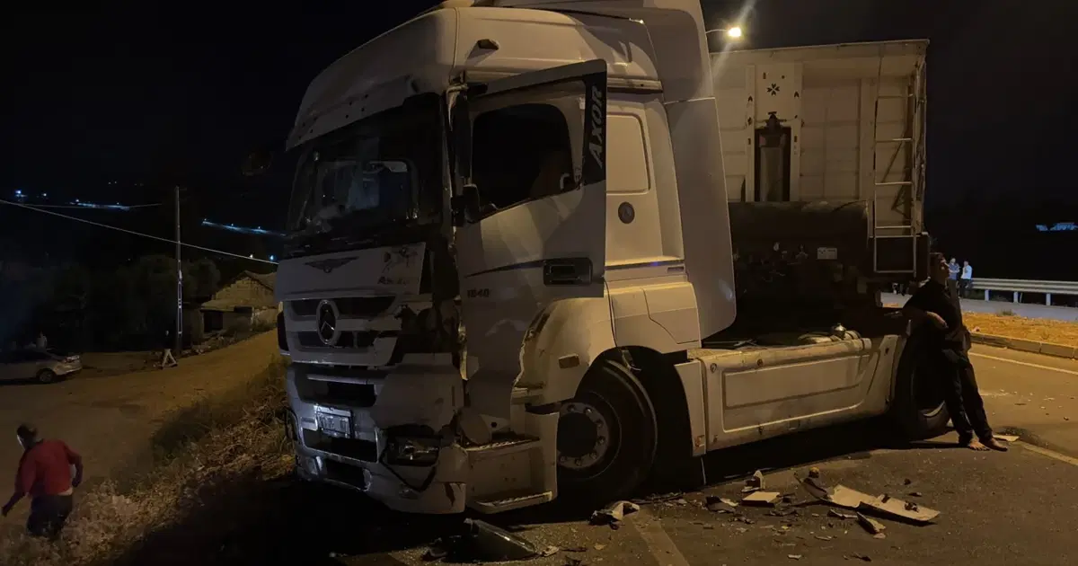 Sınırda Tır Şoförleri Arasında Arbede: Nedenler ve Sonuçlar