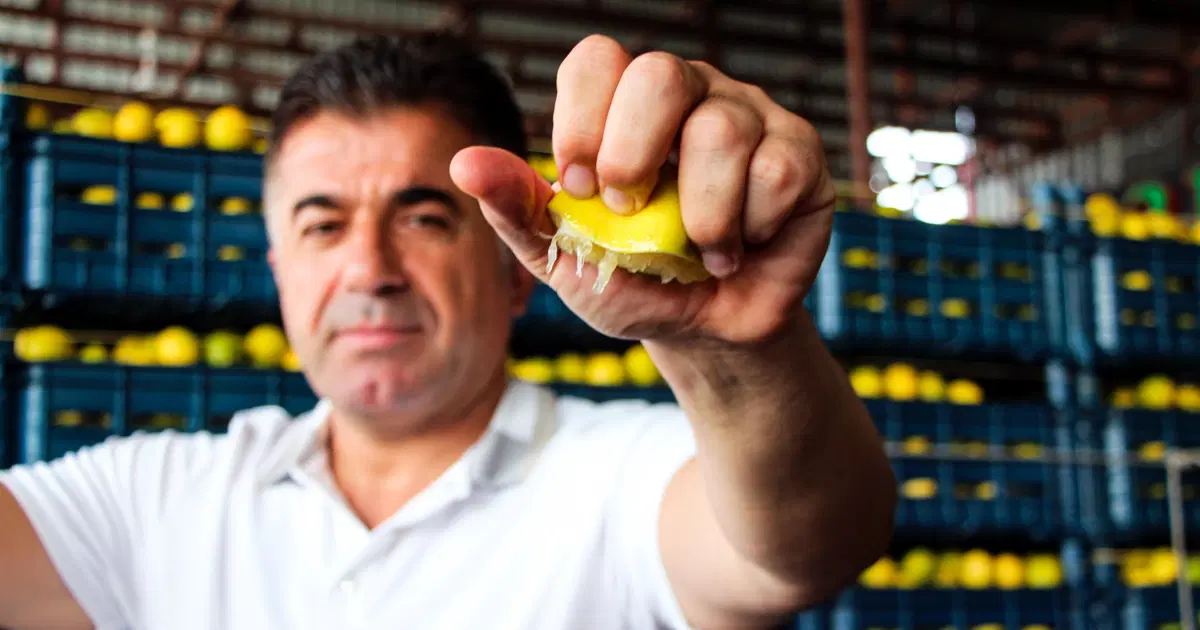 Bahçedeki 5 TL’lik Sebze, Markette 100 TL’den Satılıyor: Fiyatlar 20 Kat Arttı!