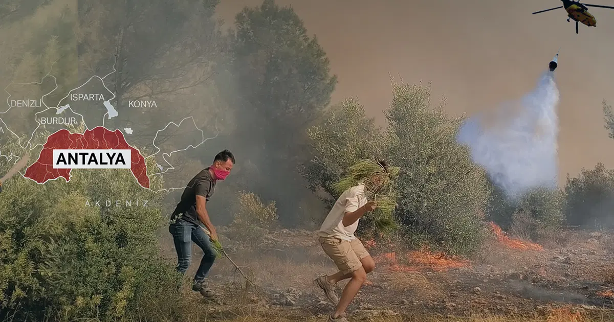 Adana, Antalya ve Mersin’de Orman Yangını: Yüzlerce Ev Tehlikede, Alevlerle Mücadele Devam Ediyor!