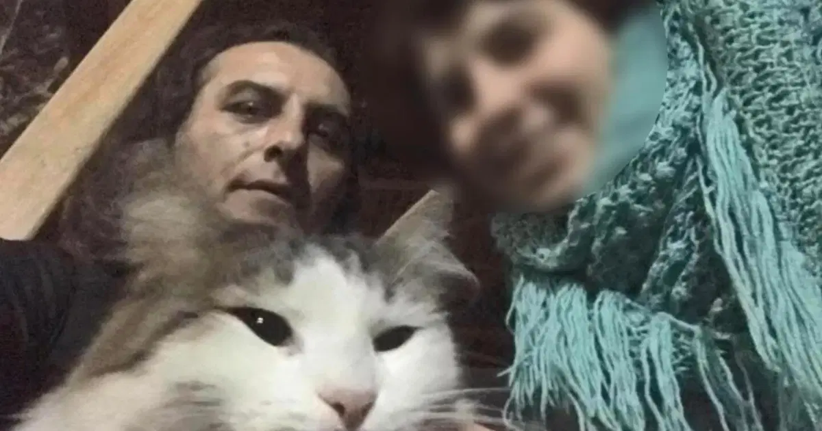 Kedilere Yem Vermeyi Unutunca Şok Edici Sonuçlar Ortaya Çıktı!
