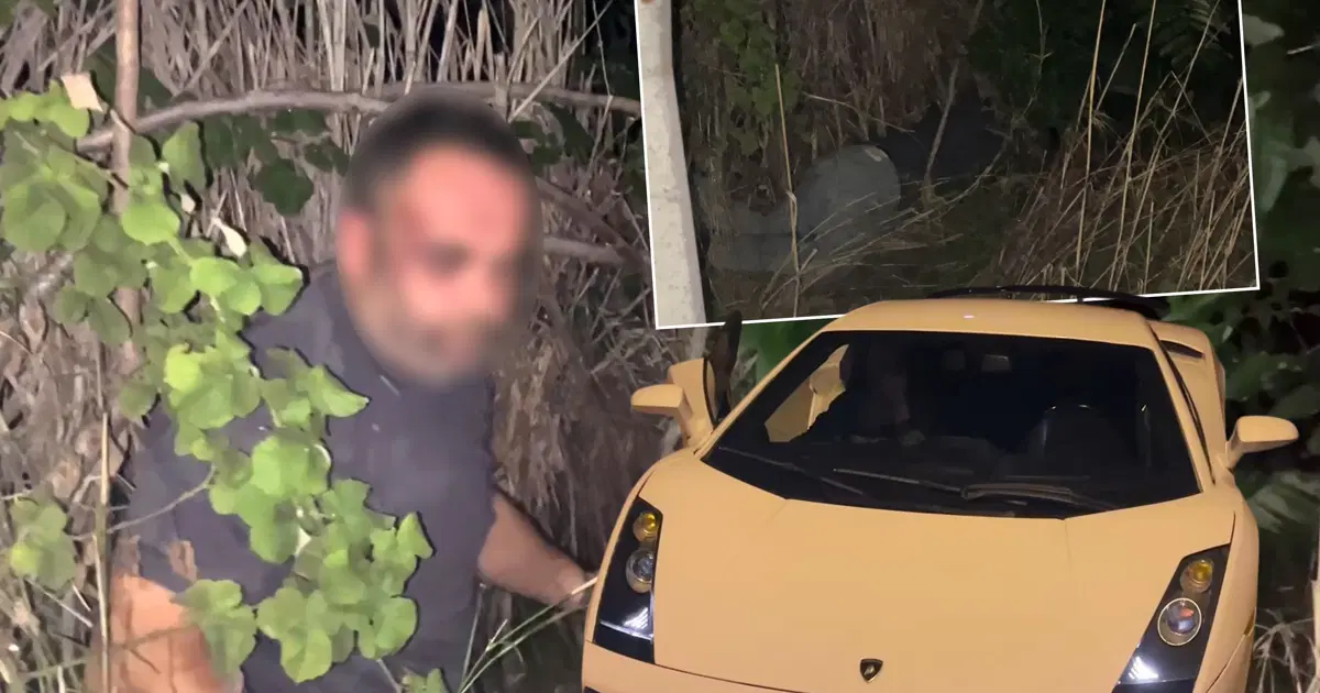 On Milyonluk Lüks Araçla Kaçtı, Çalılıkta Uyurken Horlamasıyla Gündeme Geldi!